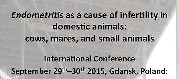 Endometritis as a cause of infertility in domestic animals: cows, mares, and small animals