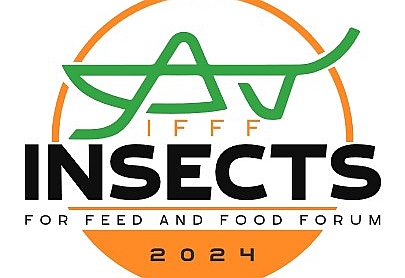         Konferencja „Insect rearing for food and feed”  OWAD2024